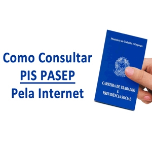 Consulte seu PIS pela INTERNET