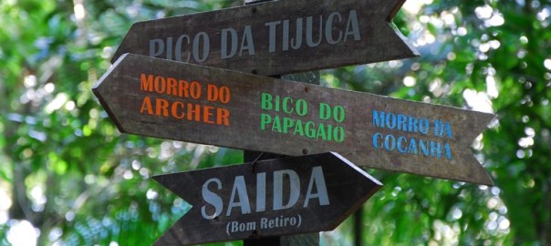 Floresta da Tijuca