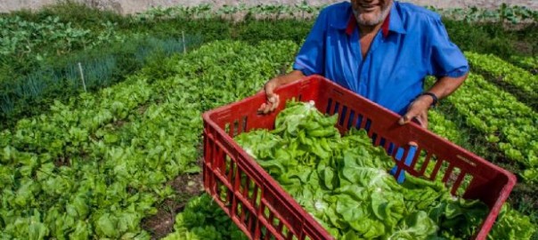 agricultura-familiar(12)